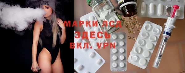гидра Горнозаводск
