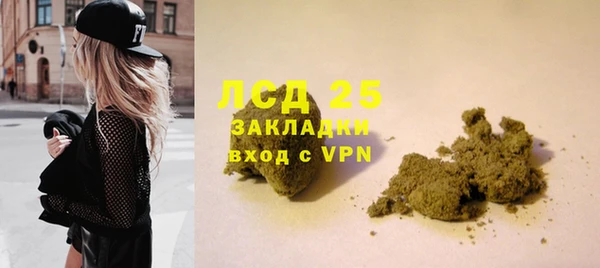мяу мяу мука Сясьстрой