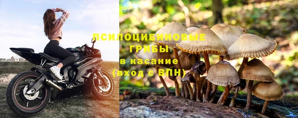 ALPHA-PVP Мегион