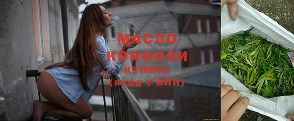 гидра Горнозаводск