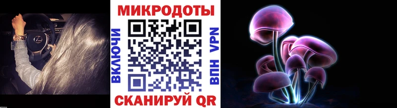 закладки  Новохопёрск  блэк спрут ссылка  Галлюциногенные грибы Psilocybe 